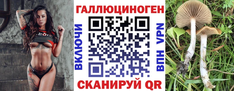Галлюциногенные грибы прущие грибы  Усть-Кут 