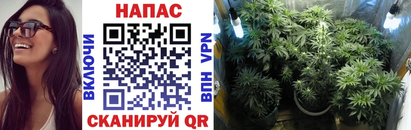 Марихуана Ganja мега зеркало Усть-Кут